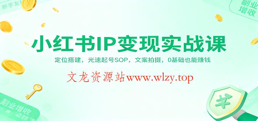 小红书IP变现实战课：定位搭建，光速起号SOP，文案拍摄，0基础也能赚钱-文龙资源站
