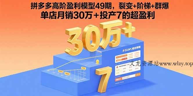 （15832期）拼多多高阶盈利模型49期，裂变+阶梯+群爆 单店月销30万+投产7的超盈利-文龙资源站