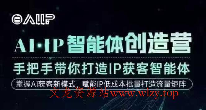 AI·IP智能体创造营,手把手带你打造IP获客智能体,高成交创始人IP课-文龙资源站