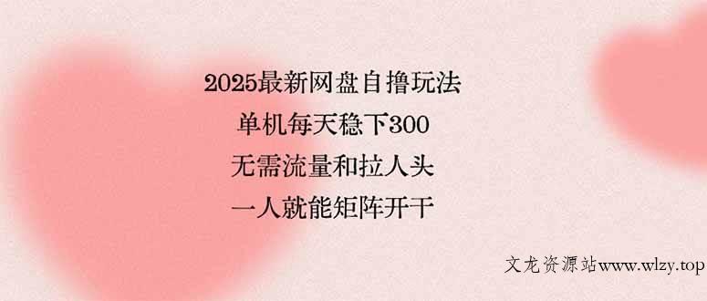 （15831期）2025最新网盘自撸玩法，单机每天稳下3张，无需流量和拉人头，一个人就…-文龙资源站
