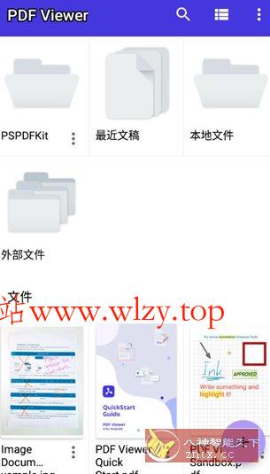 PDF Viewer Pro v2025.4.1 专业版-文龙资源站