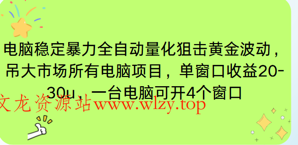 电脑EA策略挂机项目单窗口收益20-30u，单电脑可挂5-10个窗口收益稳健4位数-文龙资源站