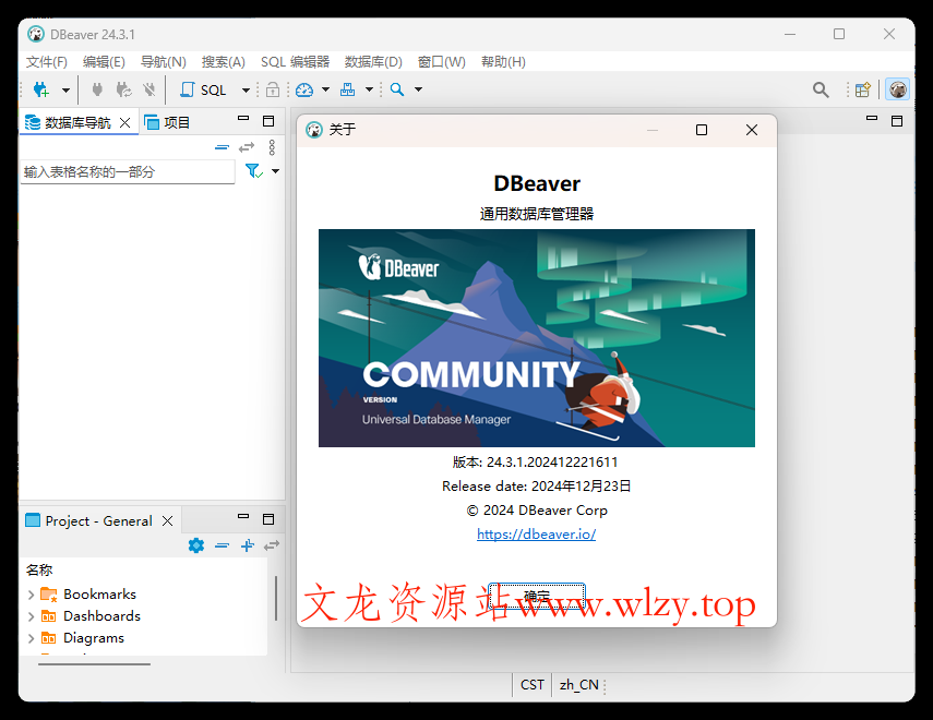 Dbeaver community v25.1.2绿色版-文龙资源站
