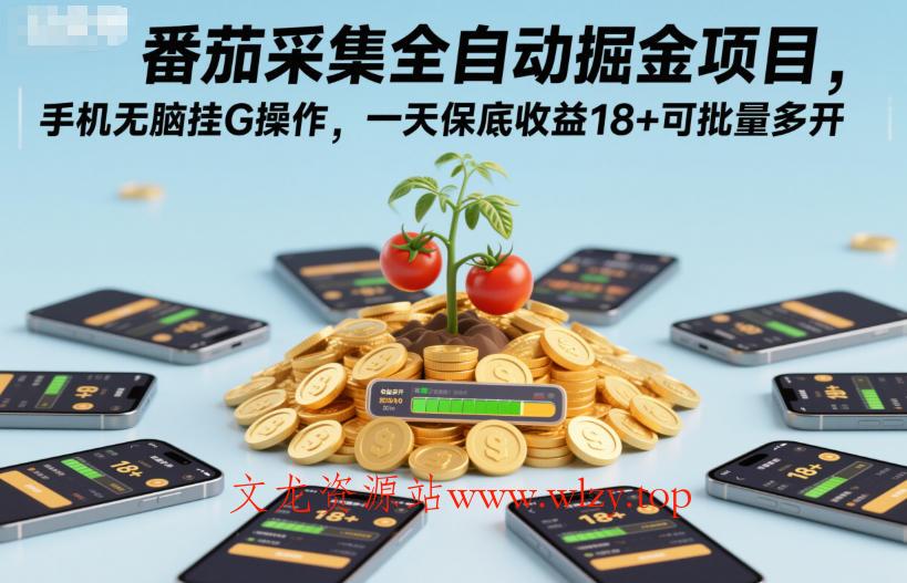 番茄采集全自动掘金项目，手机无脑挂G操作，一天保底收益18+可批量多开【揭秘】-文龙资源站