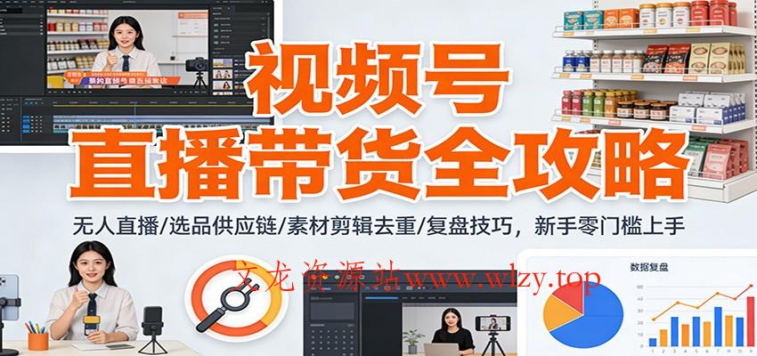 视频号直播带货全攻略：无人直播/选品供应链/素材剪辑去重/复盘技巧，零门槛上手-文龙资源站