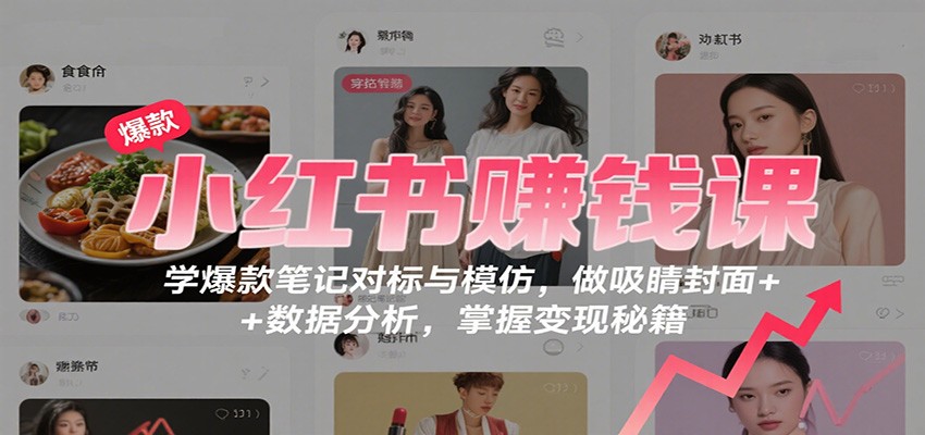 小红书赚钱课：学爆款笔记对标与模仿，做吸睛封面 + 数据分析，掌握变现秘籍-文龙资源站