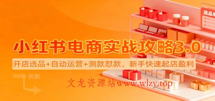 小红书电商实战攻略3.0：开店选品+自动运营+测款怼款，新手快速起店盈利-文龙资源站