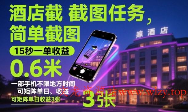 酒店截图任务,简单截图,15秒一单收益0.6米,一部手机不限地方时间,可矩阵单日收益3张【揭秘】-文龙资源站