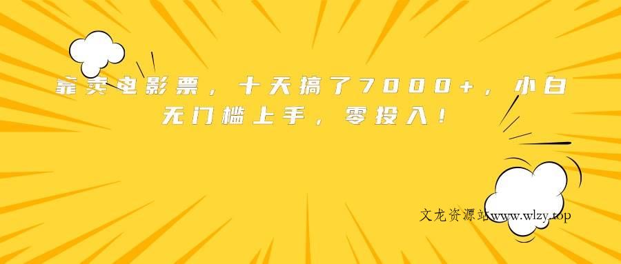 （15821期）靠卖电影票，十天搞了7000+，小白无门槛上手，零投入！-文龙资源站