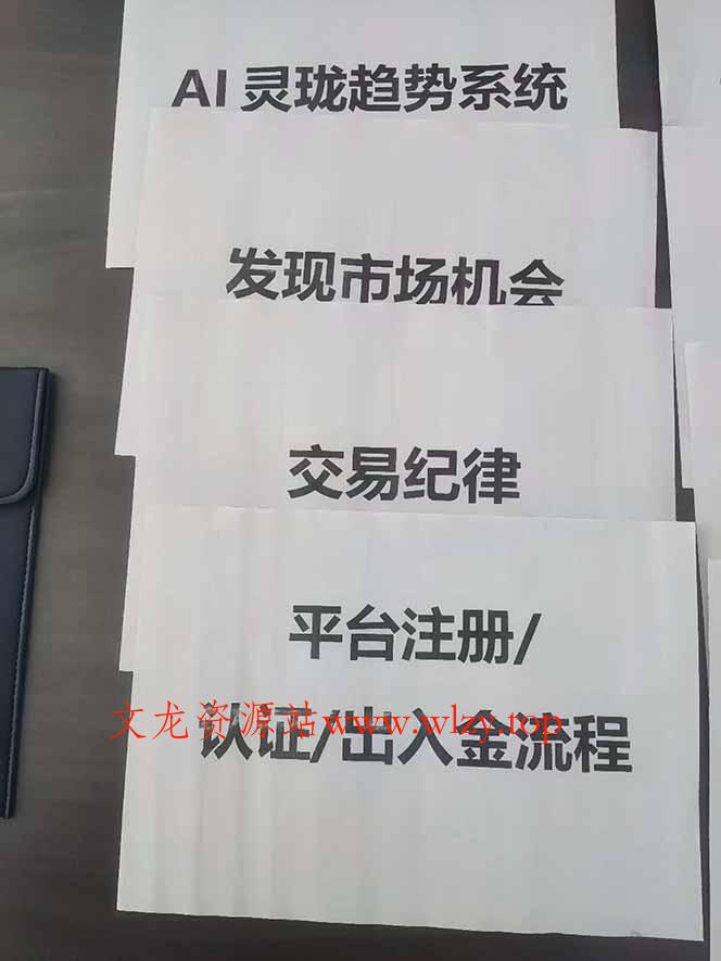 图片[3]-海外美金AI掘金项目，200U可入门槛，一天一单即可，每天1000-2000很轻松！-文龙资源站