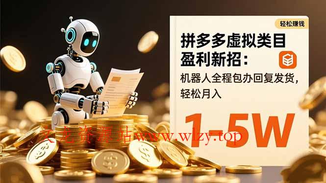 拼多多虚拟类目盈利新招：机器人全程包办回复发货，轻松月入 1-5W-文龙资源站