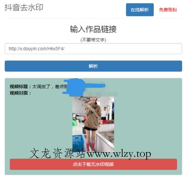 抖音在线去水印网站PHP源码-文龙资源站