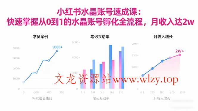 2025小红书水晶账号速成课:快速掌握从0-1水晶账号孵化全流程,月收入达2w-文龙资源站