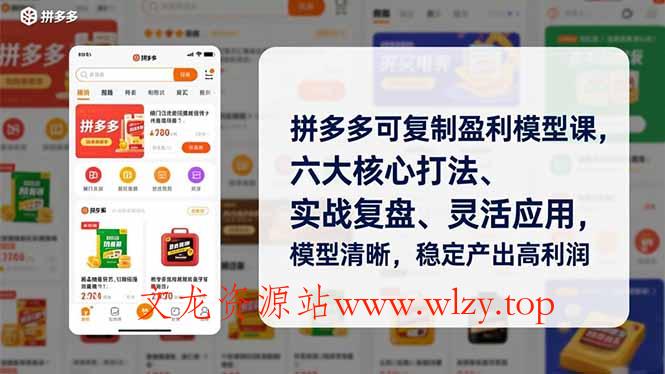 拼多多可复制盈利模型课，六大核心打法、实战复盘、灵活应用，模型清晰，稳定产出高利润-文龙资源站