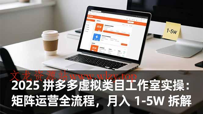 2025 拼多多虚拟类目工作室实操：矩阵运营全流程，月入 1-5W 拆解-文龙资源站