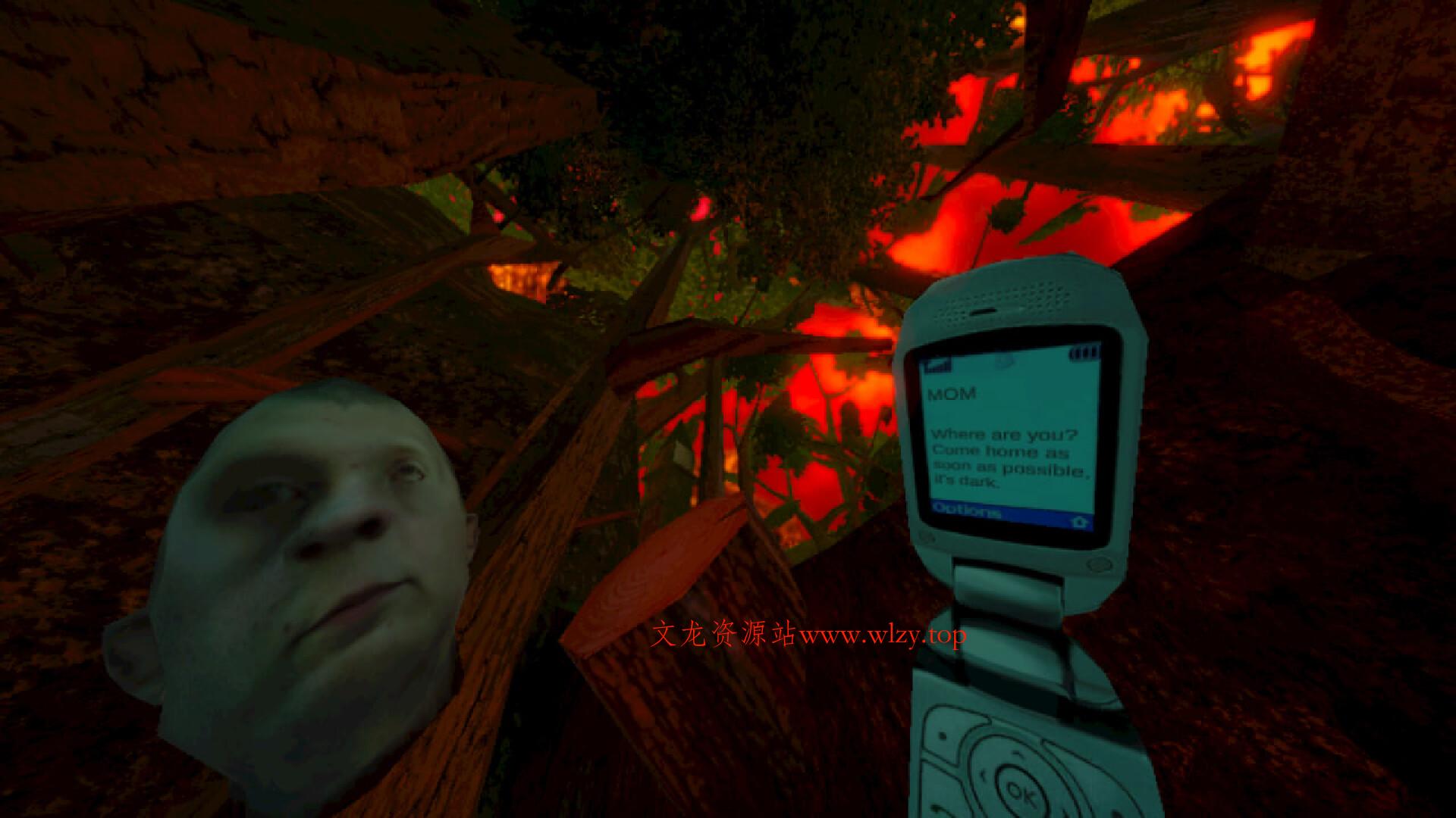 暴煞狂想2/Violent Horror Stories-文龙资源站