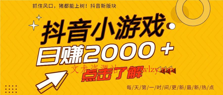 5年爆火的抖音小游戏项目，一部手机日入2000+-文龙资源站