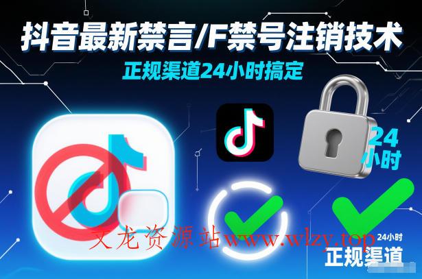 抖音最新禁言/F禁号注销技术，正规渠道24小时搞定-文龙资源站