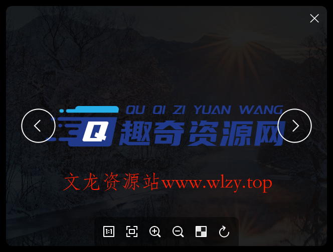 Pineapple Pictures v1.1.0绿色版-文龙资源站