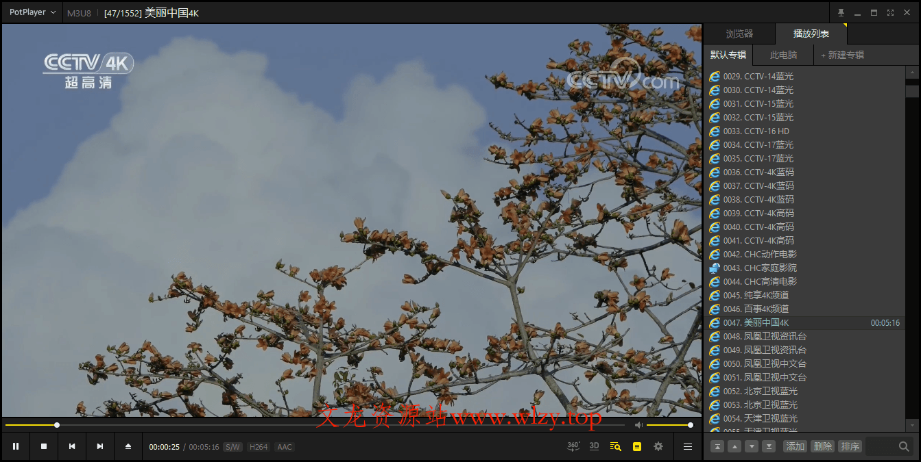 PotPlayer v1.7.22582绿色版-文龙资源站