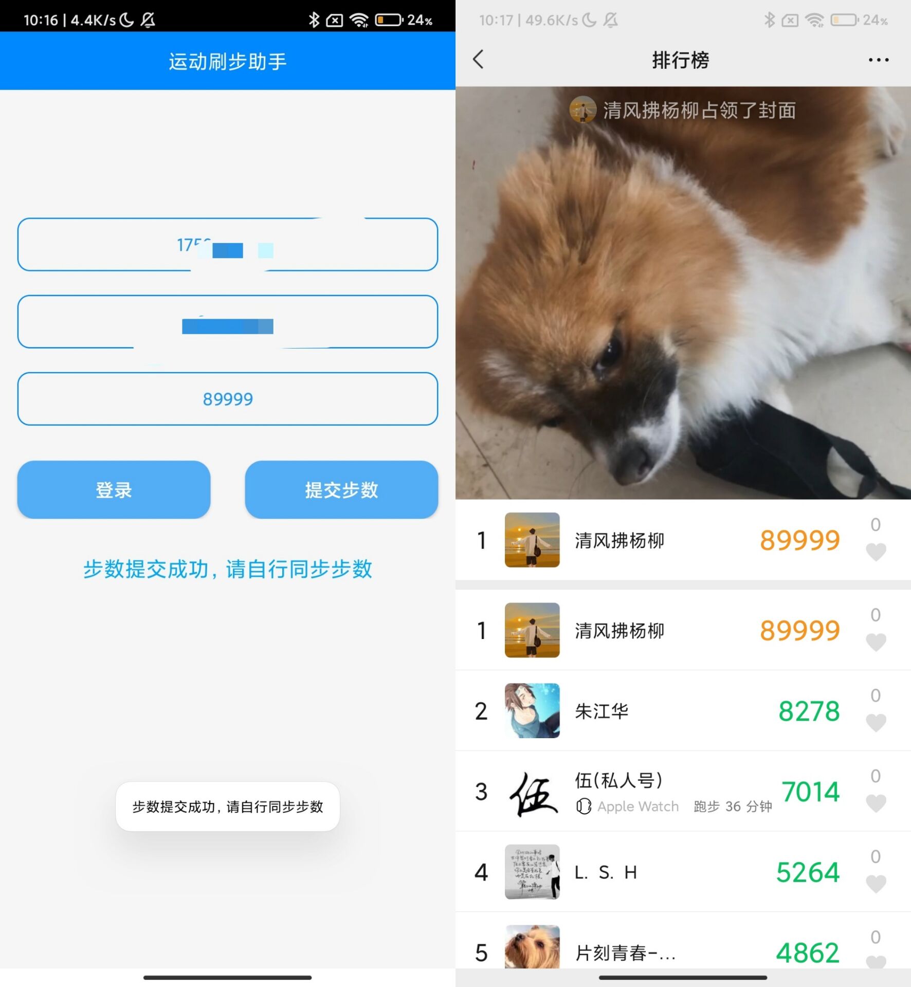 布偶步数助手 支持QQ微信支付宝-文龙资源站