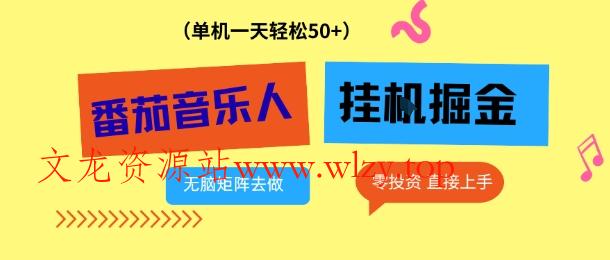 番茄音乐人挂G项目，多窗口去跑一天完稳定50+，零投资，简单无脑【揭秘】-文龙资源站