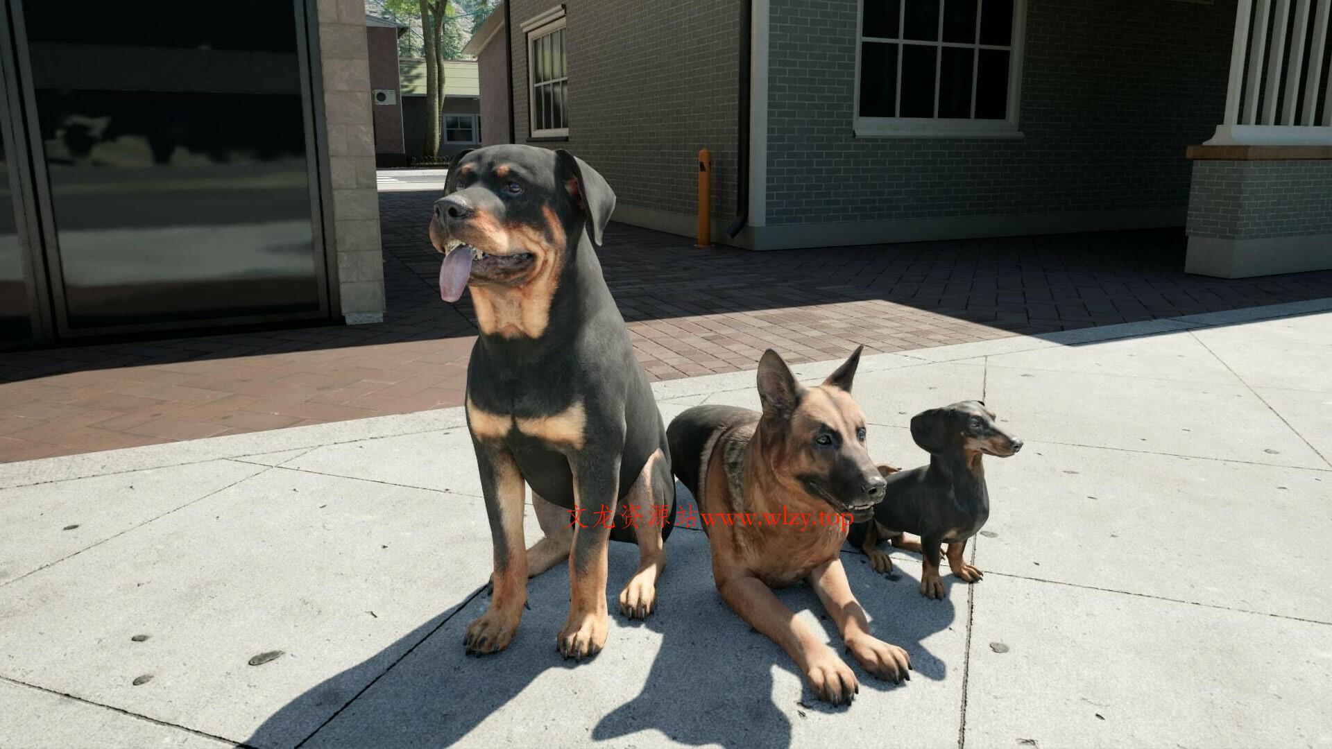 1615168869420538.jpg 6.jpg