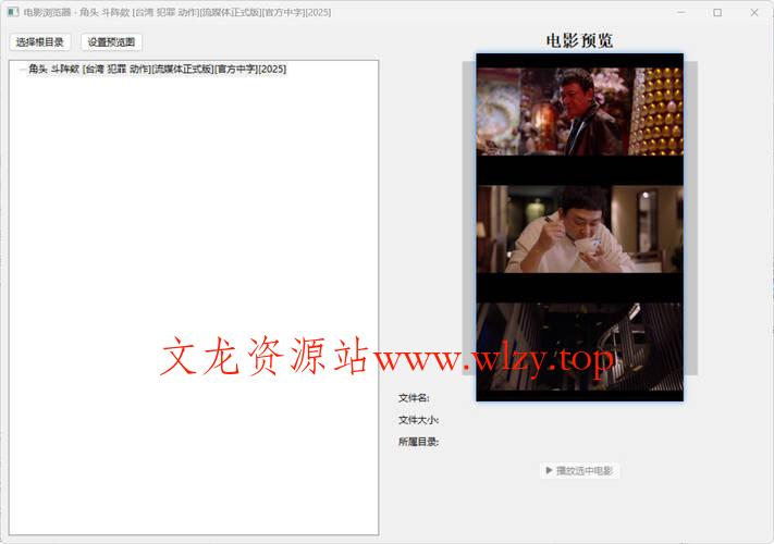 视频封面提取小工具-文龙资源站
