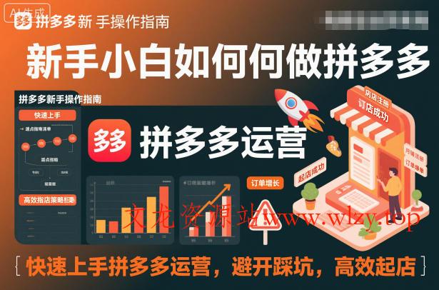 新手小白如何做拼多多，快速上手拼多多运营，避开踩坑，高效起店-文龙资源站