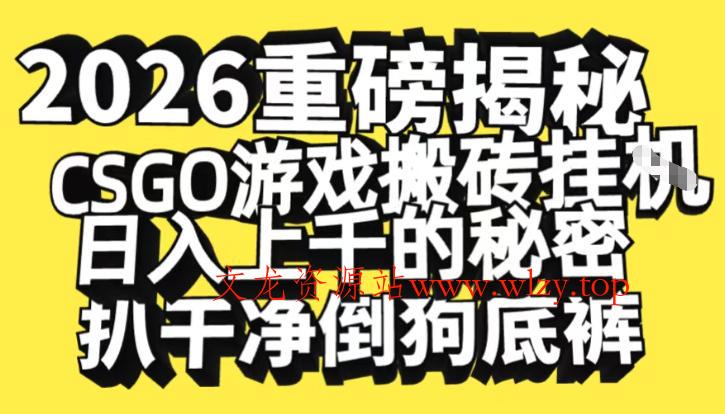 2026开年重磅解密，CSGO游戏搬砖挂G日入1k+的秘密，把倒狗的底裤扒干【揭秘】-文龙资源站