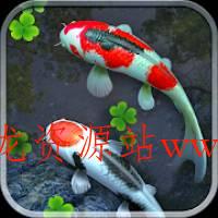 Water Garden Live Wallpaper 锦鲤3D动态壁纸2.04专业版-文龙资源站