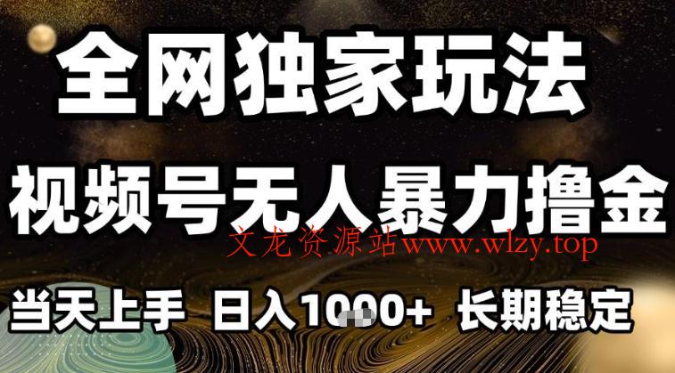 年底最新独家视频号无人直播撸礼物,小白也能轻松日入1k+,长期稳定,可批量复制【揭秘】-文龙资源站