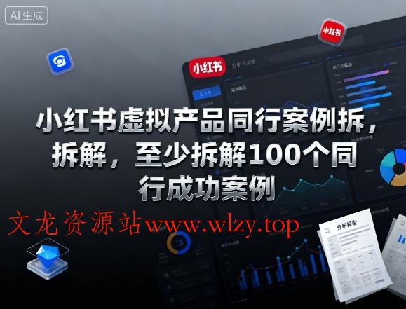 小红书虚拟产品同行案例拆解，至少拆解100个同行成功案例(完结)-文龙资源站