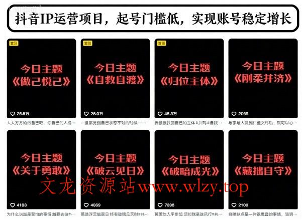 抖音IP运营项目,抖音今日主题玩法,起号门槛低,实现账号稳定增长