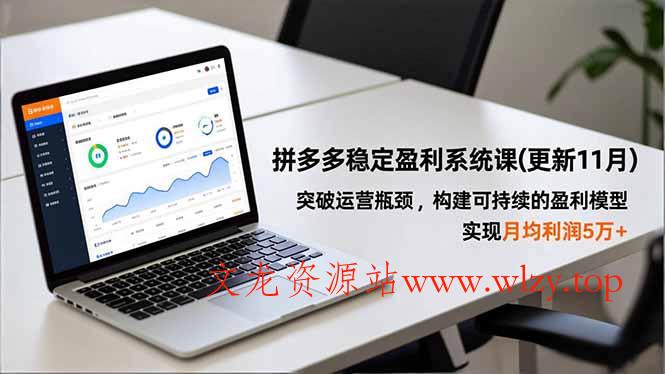 拼多多稳定盈利系统课(更新11月-文龙资源站