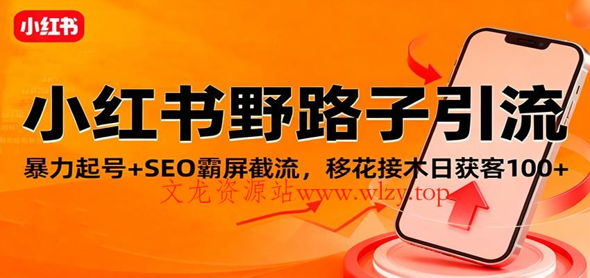 小红书野路子引流,暴力起号+SEO霸屏截流,移花接木日获客100+-文龙资源站