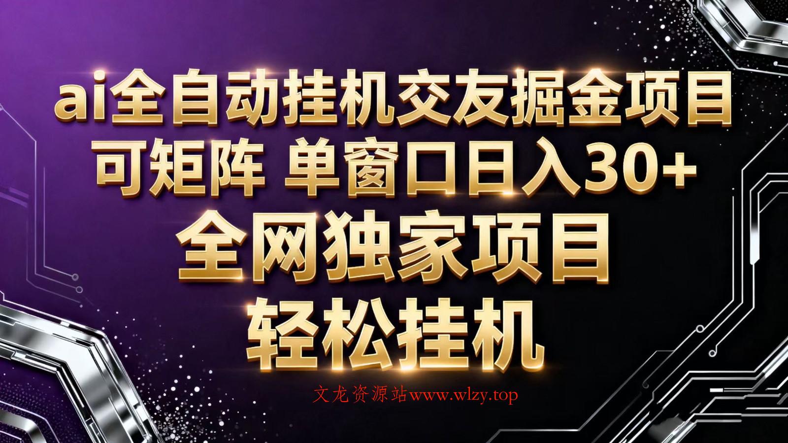 ai全自动挂机语聊掘金 可矩阵 单窗口轻松日入30+-文龙资源站