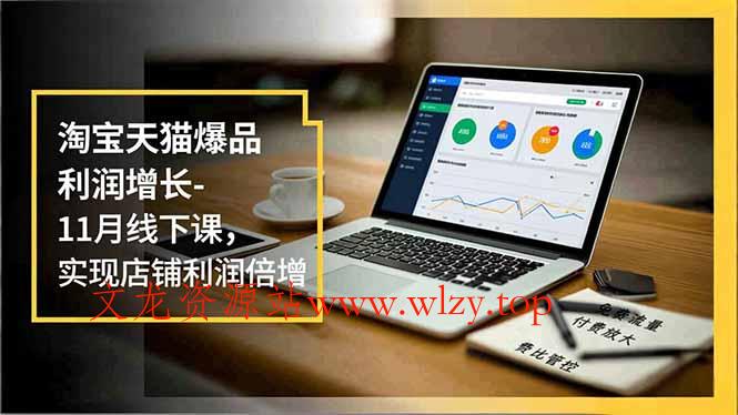 淘宝天猫爆品利润增长-11月线下课，免费流量、付费放大、费比管控，实现店铺利润倍增-文龙资源站