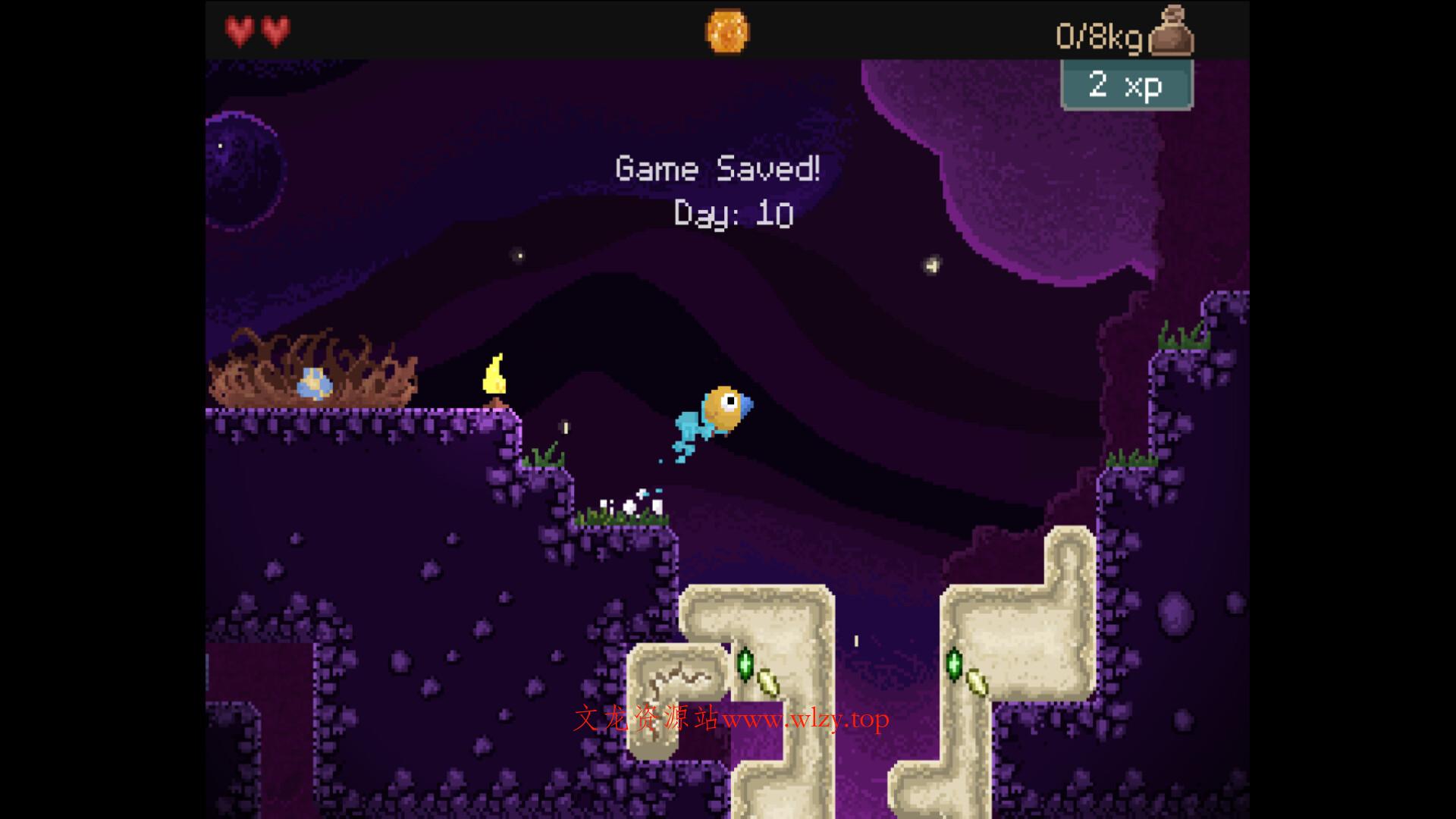 钻头鸟/Drill Bird-文龙资源站