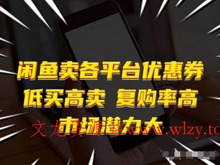 闲鱼卖各平台优惠券，低买高卖，复购率高，市场潜力大-文龙资源站