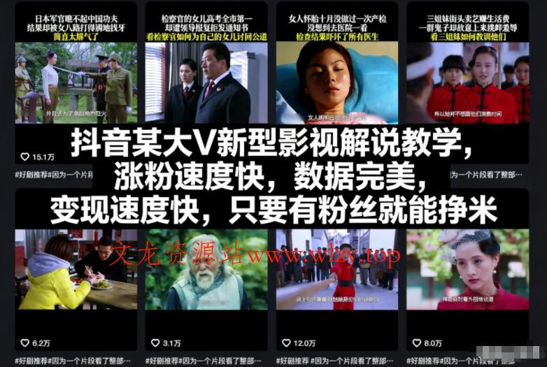抖音某大V新型影视解说教学，涨粉速度快，数据完美，变现速度快，只要有粉丝就能挣米-文龙资源站