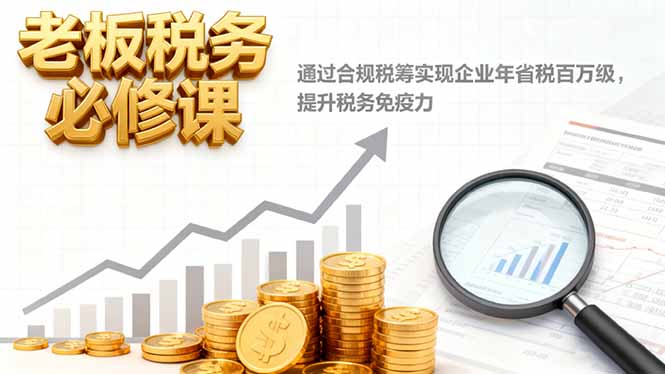 老板税务必修课，通过合规税筹实现企业年省税百万级，提升税务免疫力-文龙资源站
