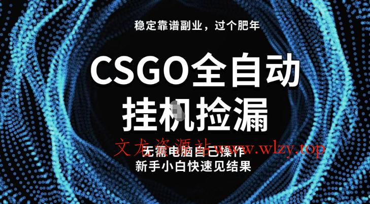 【稳定副业】全球最热门游戏CSGO全自动捡漏,最新玩法,新手小白日入5张+【揭秘】