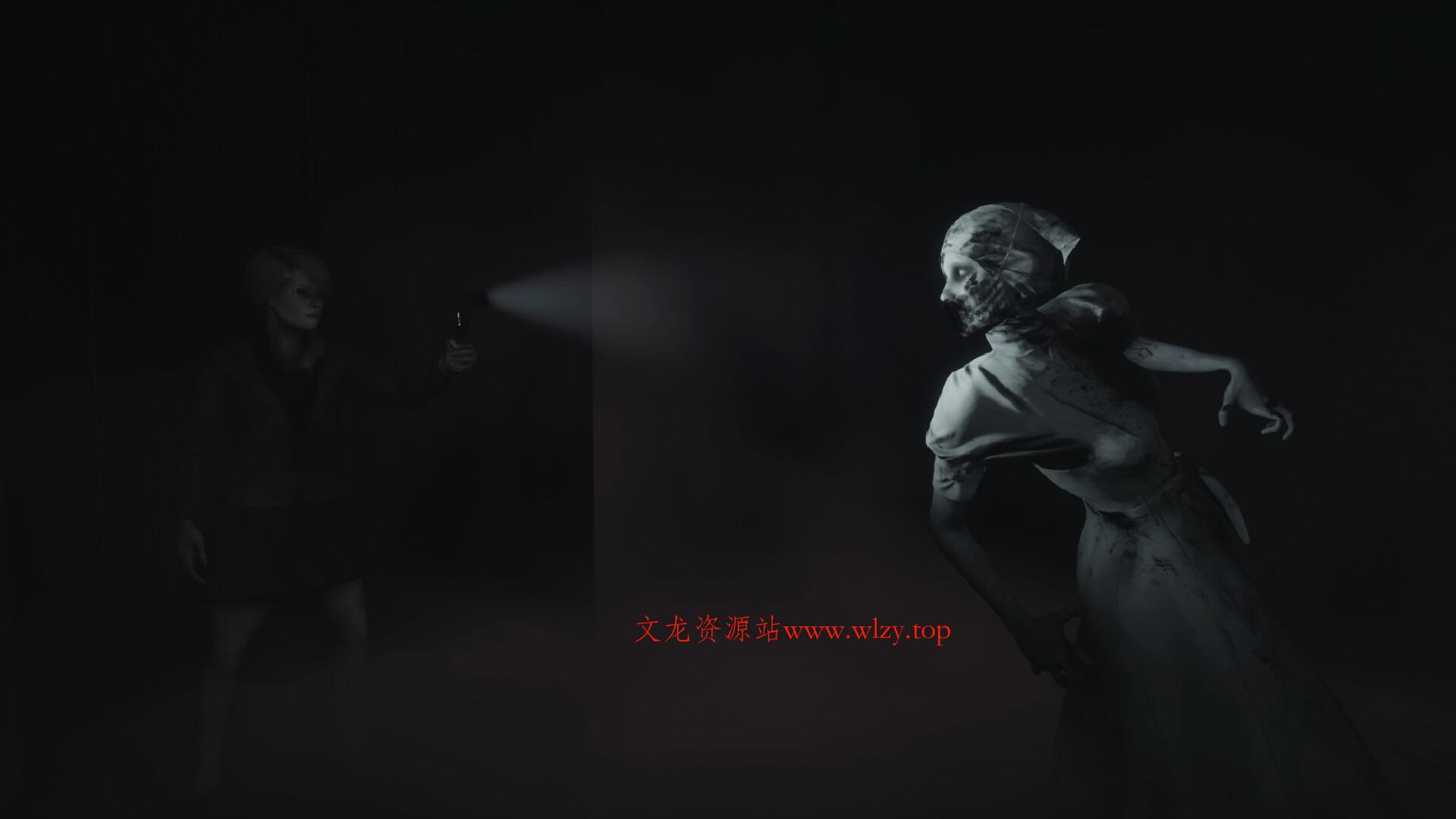 锁好你的门/LockYourDoor/支持网络联机-文龙资源站