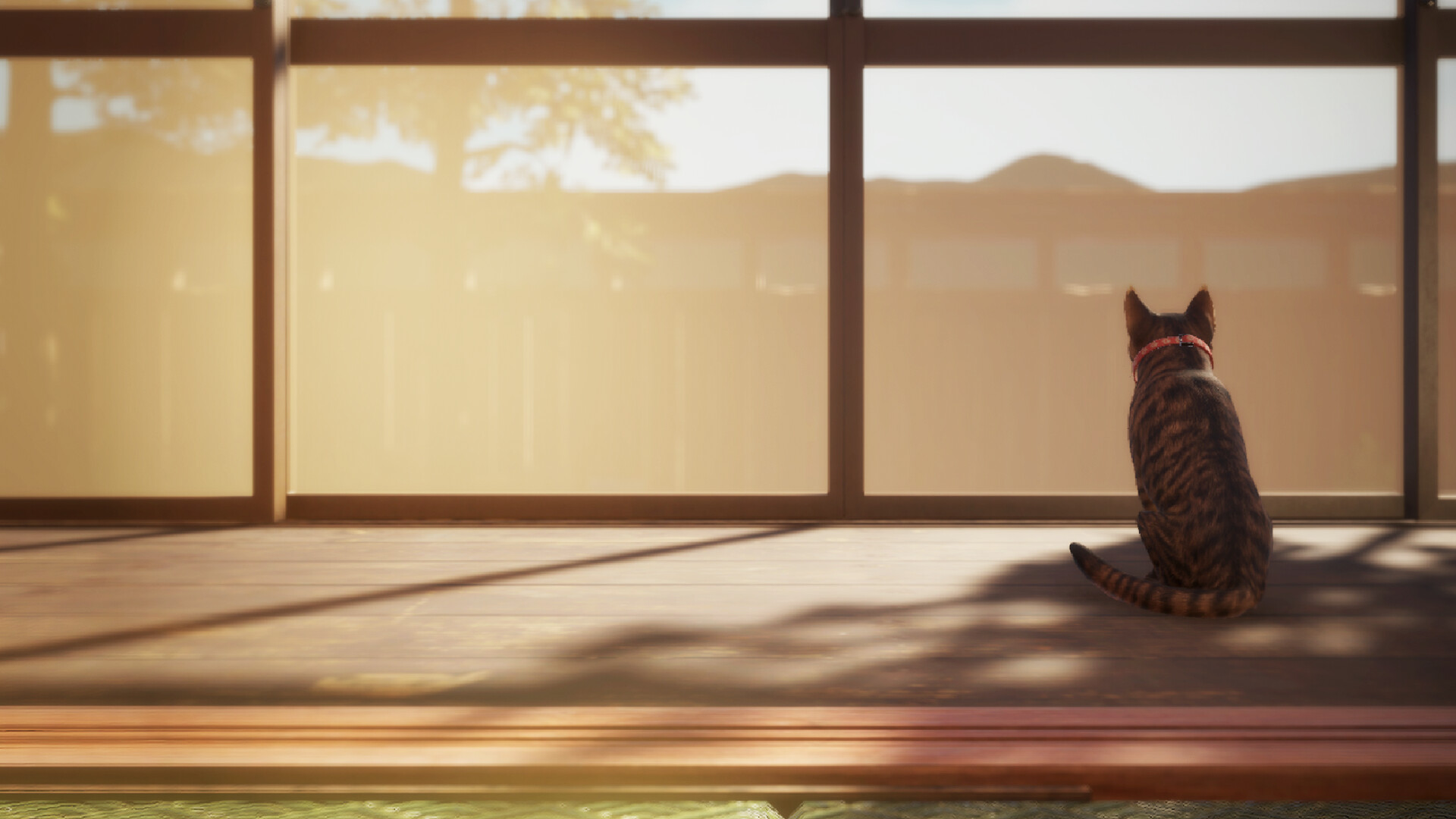 猫还在逃吗?/Still It Runs-文龙资源站