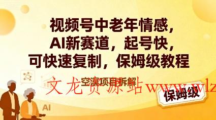视频号中老年情感,AI新赛道，起号快，可快速复制，保姆级教程-文龙资源站