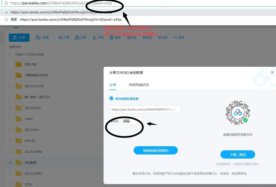 一段代码取消百度网盘密码-文龙资源站