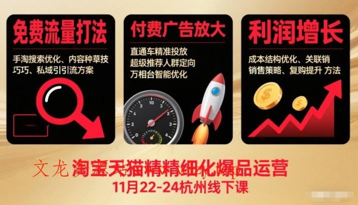 淘宝天猫精细化爆品运营11月22-24杭州线下课，免费流量打法+付费广告放大+利润增长(音频+文档)-文龙资源站