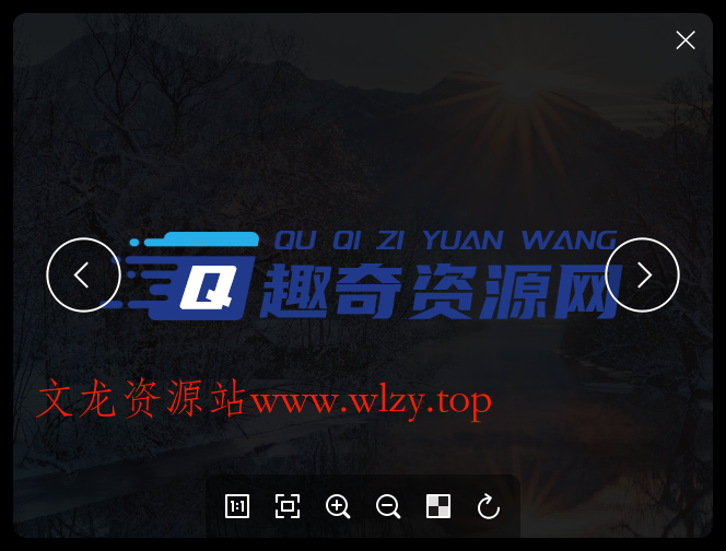 Pineapple Pictures v1.1.1绿色版-文龙资源站