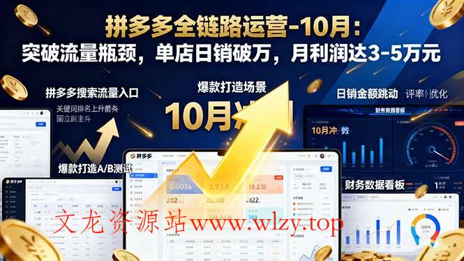 拼多多全链路运营-10月：突破流量瓶颈，单店日销破万，月利润达3-5万元-文龙资源站